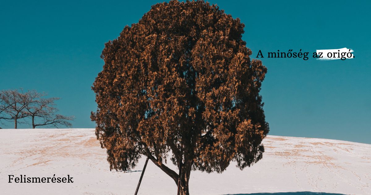 A minőség az origó – önismereti felismerés a tisztánlátásról, önazonosságról és belső nyugalomról.